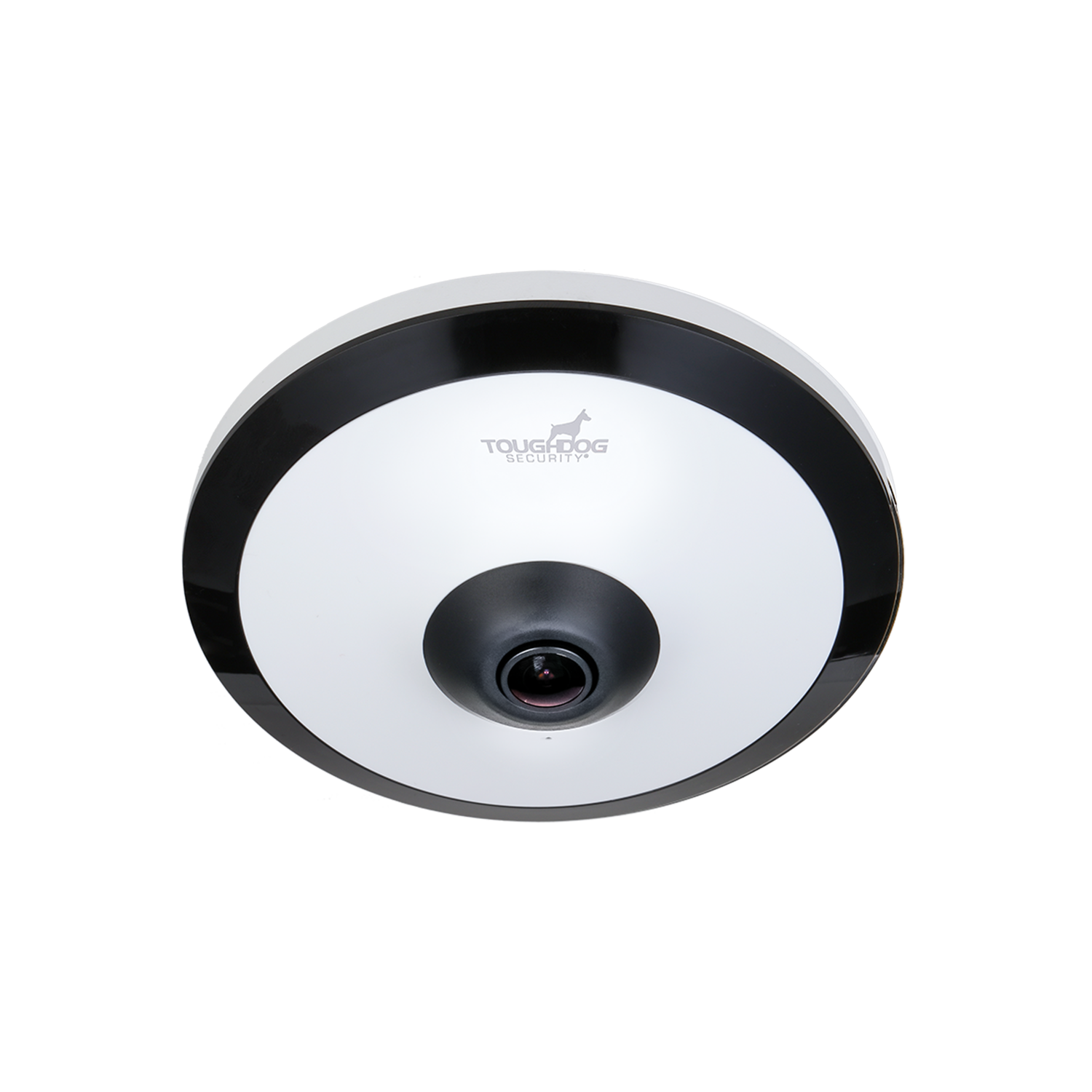 IP Cameras
